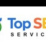topseo services Profile Picture