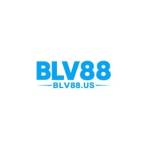 Blv88 us Profile Picture