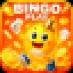BINGOPLAY BINGOPLAY Profile Picture