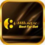888B netvc Profile Picture