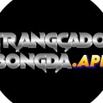 Trang Cá Độ Bóng Đá Profile Picture
