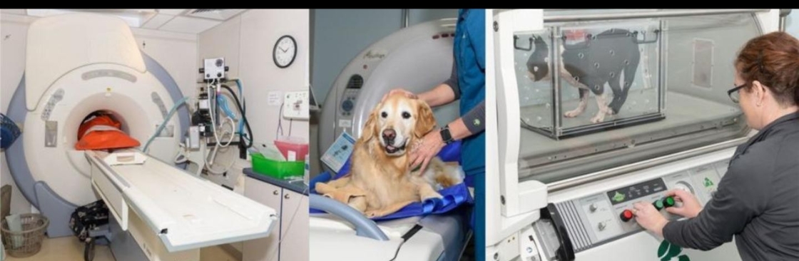 Veterinary Neurology And Imaging of the Chesapeake Cover Image