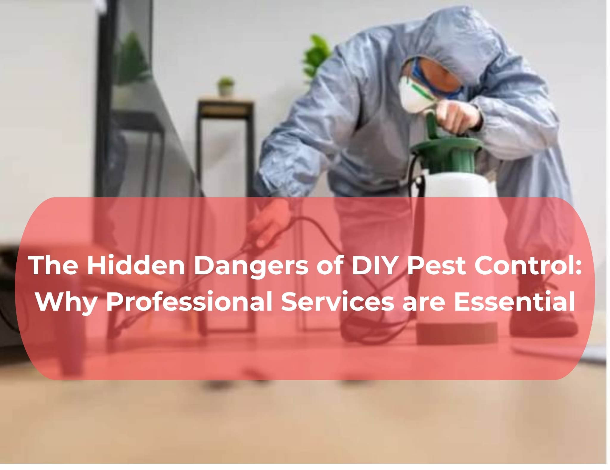 DIY Pest Control Dangers & Why Professionals Matter