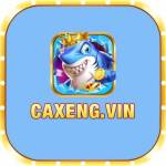 CAXENG itcom Profile Picture