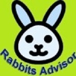 Rabbits Advisor Profile Picture
