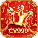 CV999 CV999 Profile Picture