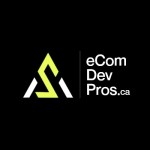 eCommerce Development Pros Profile Picture