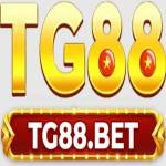 TG88 INC Profile Picture