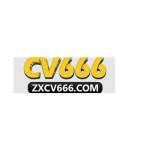 CV 66 Profile Picture