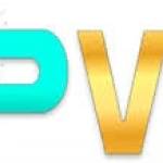 PPVIP PPVIP Profile Picture