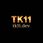TK11 dev Profile Picture