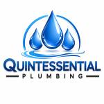 Quintessential Plumbing Profile Picture