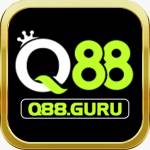 q88 guru Profile Picture