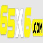 65x org Profile Picture