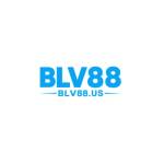 Blv88 us Profile Picture