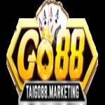 GO 88 Profile Picture