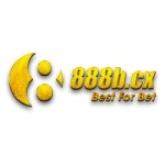 8888B co Profile Picture