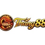Thang 88 Profile Picture