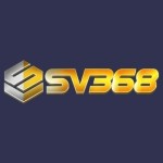 Sv368 k1com Profile Picture
