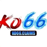 Ko66 claims Profile Picture