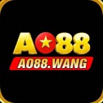 ao88 wang Profile Picture