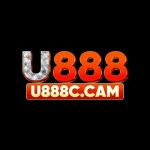 U888c cam Profile Picture