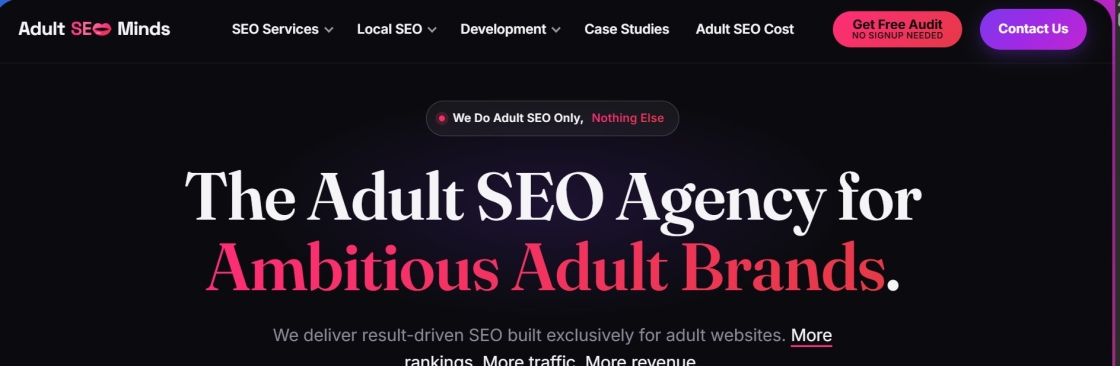 Adult SEO Minds Cover Image