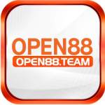 open88 team Profile Picture