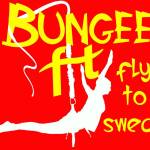 Bungee India Profile Picture