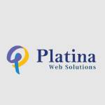Platina Web Solutions Profile Picture