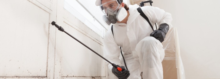Mould Medico Cover Image