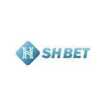 Shbet8 dev Profile Picture