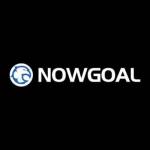 Nowgoal95 com Profile Picture