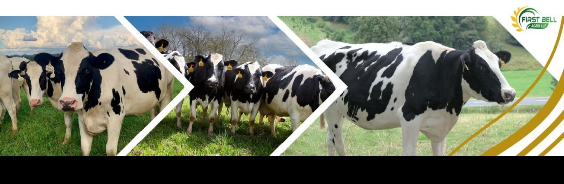 First Bell Agro Cover Image