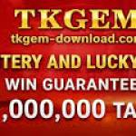 TKGEM TKGEM Profile Picture