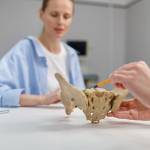 Zyloh Physiotherapy Profile Picture