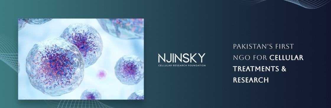 Njinsky Foundation Cover Image