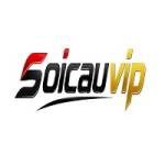 Nền tảng SOICAUVIP Profile Picture