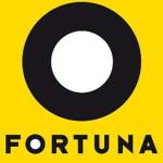 efortuna pl Profile Picture