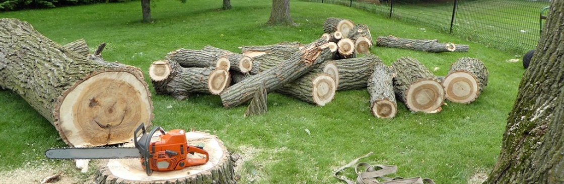 Maldonado Tree Service LLC Cover Image