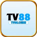 TV88 TV88 Profile Picture
