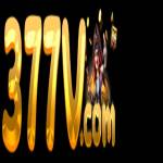 377v Profile Picture