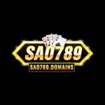 SAO789 Domains Profile Picture