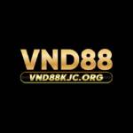 VND88 Profile Picture