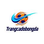 trangcadobongda24 com Profile Picture