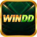 windd casino Profile Picture
