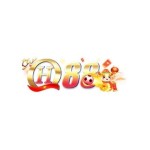 QH88 Pro Profile Picture