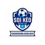 Soikeo88 com mx Profile Picture