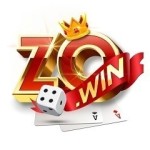zowin computer Profile Picture