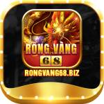 RONG VANG68 Profile Picture